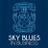 SkyBluesinBiz's profile image