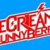 IceCream BunnyBerry (@icbb_poppunk) Twitter profile photo