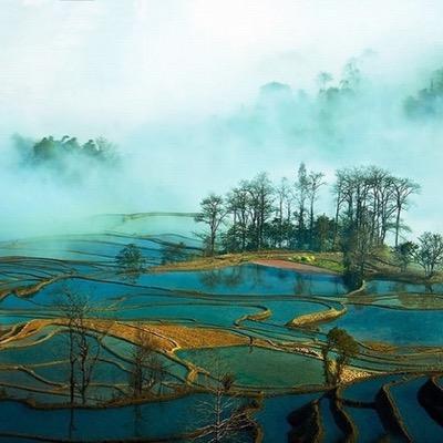 Bun_Bun1026's profile picture. 