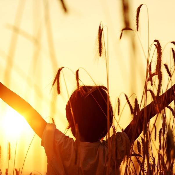 Helping Christian Churches Sow Seeds through Professional Communication Strategies.