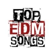 Top EDM Songs (@topedmsongsblog) Twitter profile photo