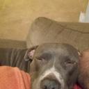 Mark Foreman - @markforeman83 - Twitter