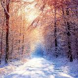 Emann_Abdulaziz's profile picture. PhD Candidate