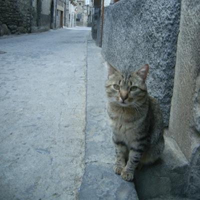 誰かの名言集と思いつきの外部記憶