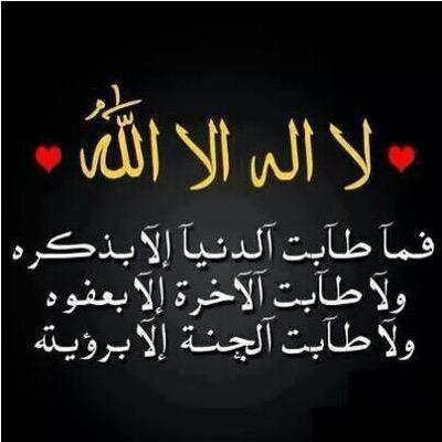 amralieid's profile picture. 