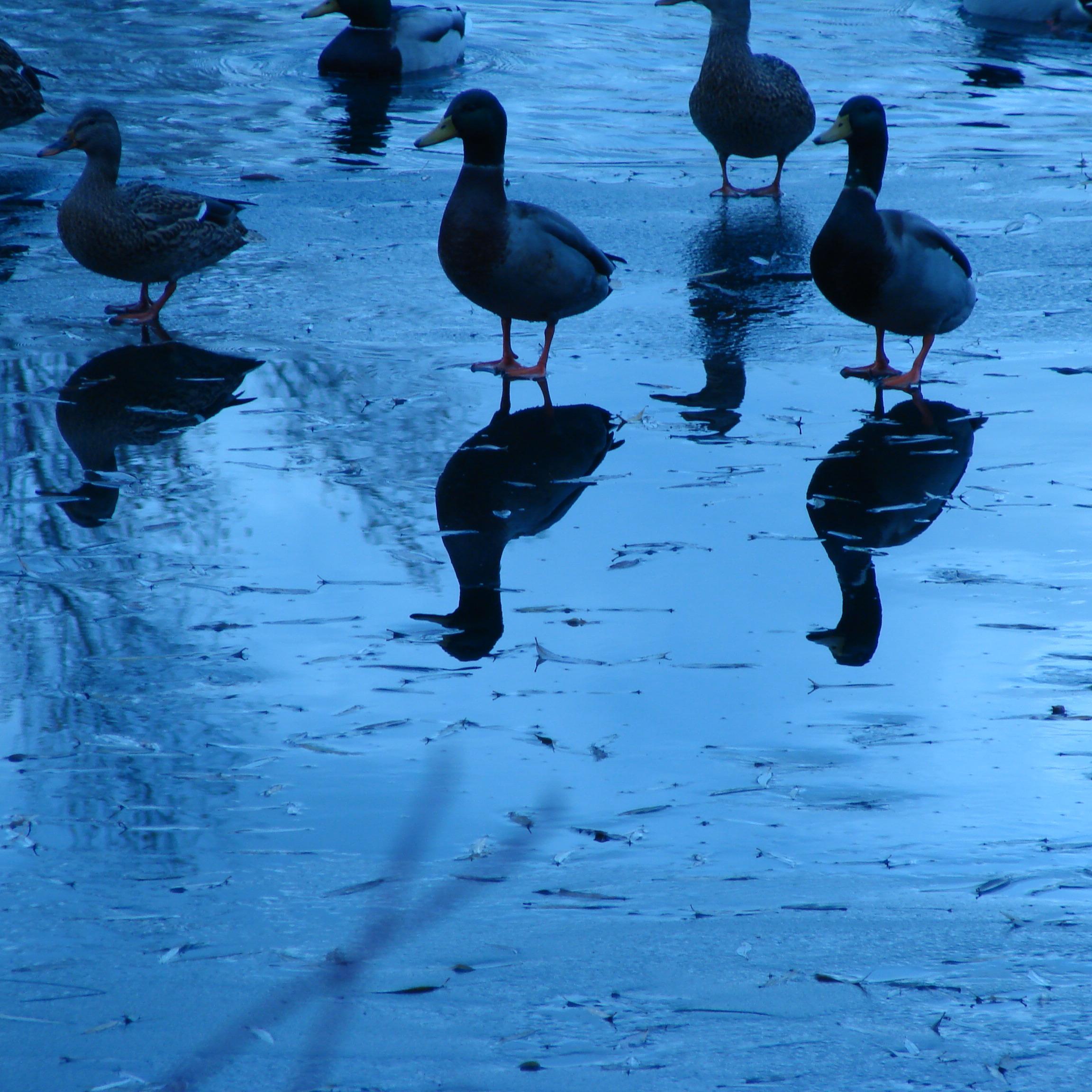 gibraltarpointd's profile picture. 