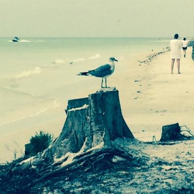 eebbpp's profile picture. 