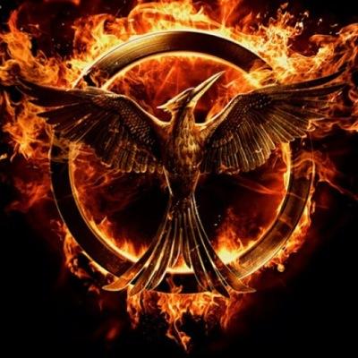 come join the aftermath of the Hunger Games!