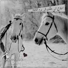 ♥ليسّ كُل مـآ أكتبهَ ~ حِكآيهٌ عَنْ وآقعيٌ إنمَآ هِيَ ( كلِمَآتٌ ) رآقَتٌ لِيً ... وقدَ يـحتَآجھَآ غِيري
♥