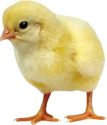 Olmassa olmaz dedikleriniz vardır ya hani, işte müzik onlardan biri.