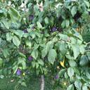 Olga Graf - @OlgaGraf - Twitter