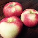 Scott Trump - @ScottTrump2 - Twitter