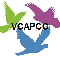 We provide counselling and victim service support for children, youth and families who have experienced traumas related to sexual and physical abuse.