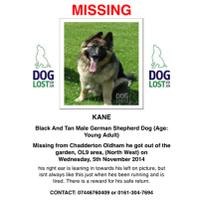 #FindKane (@findkane) 's Twitter Profile