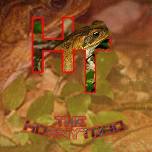 Sky_HornyToad's profile picture. beginner Graphics designer/Gamer/YouTuber/ love sharing beautiful women