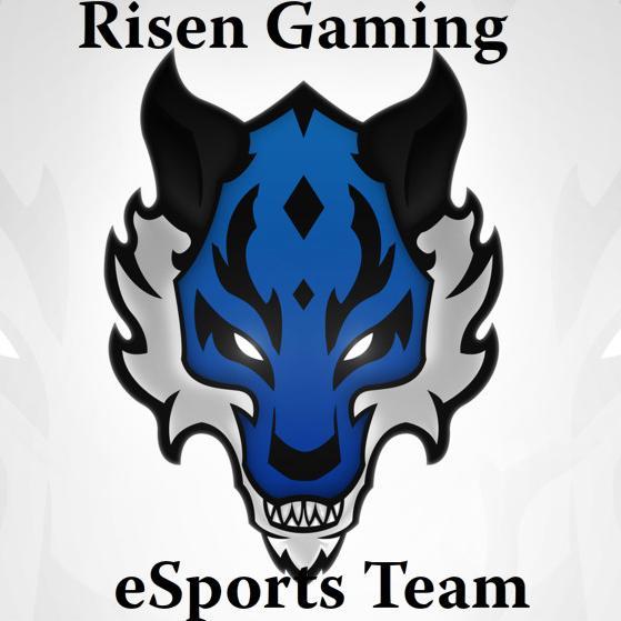 Risen_COD's profile picture. Official Twitter of Risen Gaming.