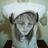 dom13_'s profile image