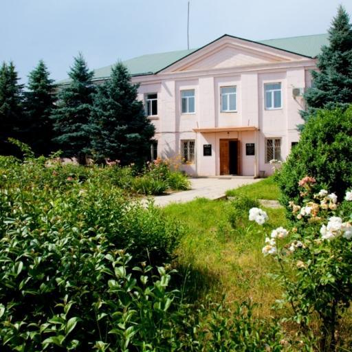 RaisaAminova's profile picture. 