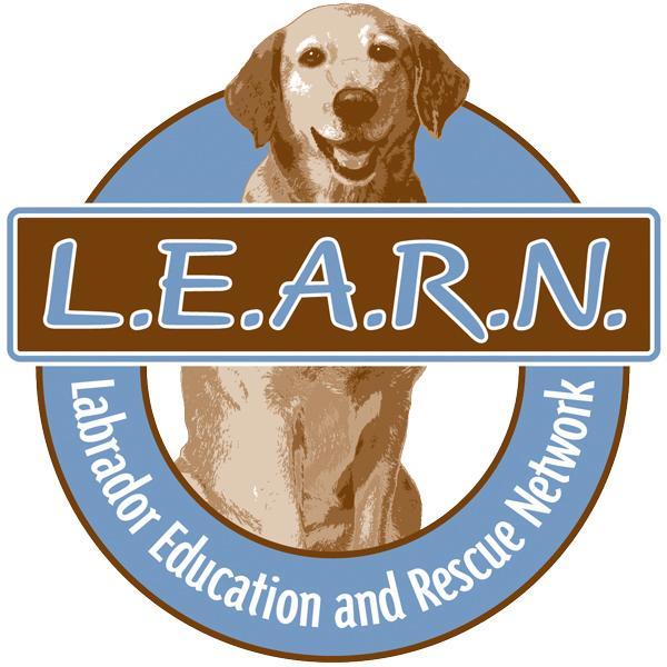 Labrador Education and Rescue Network is an all volunteer non-profit 501(c)3 organization committed to placing abandoned and unwanted Labradors in new homes.