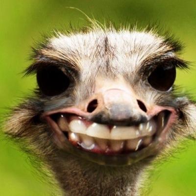 das ist mein „spaß acc oder schaut auch auf meinem 2 acc vorbei. (leonking3103) instagram: http://t.co/TMryImkJj2