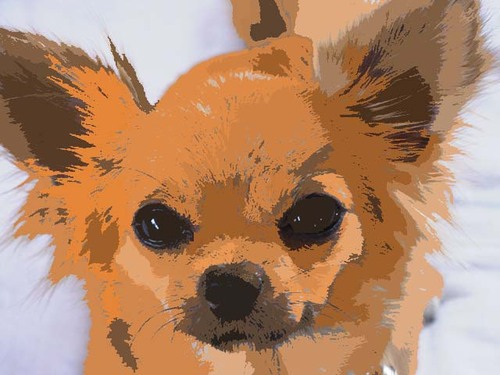 yasuhn's profile picture. インターネット、経済、金融についてつぶやいています。外資系IT企業で働いています。
Twittering about Internet, Economics, and Finance. Working in a foreign IT company