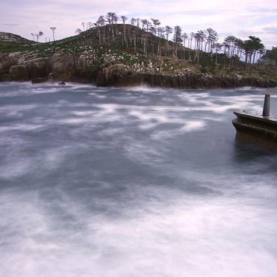 txankarra's profile picture. 