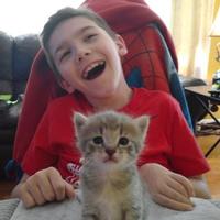 Ethan Brock (@e_man2001) 's Twitter Profile