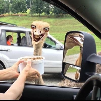 shadowguy124's profile picture. 