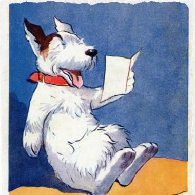 adengrey's profile picture. 