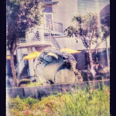 seaofcarnage's profile picture. living life in an unconventional way! i suggest you try it! Peace Corps Liberia, soon to be Peace Corps Jamaica! volunteering is so rewarding!