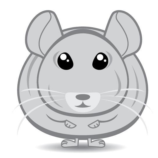 Do you like Chinchillas? We love them.