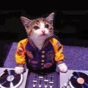 warmelink_kevin's profile picture. 