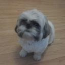 Lucy Harvey - @lucyharvey07061 - Twitter