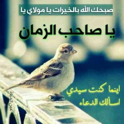‏‏‏‏‏‏‏‏سلام الله على قلبك حبيبي ياحسين( الخاص ممنوع)