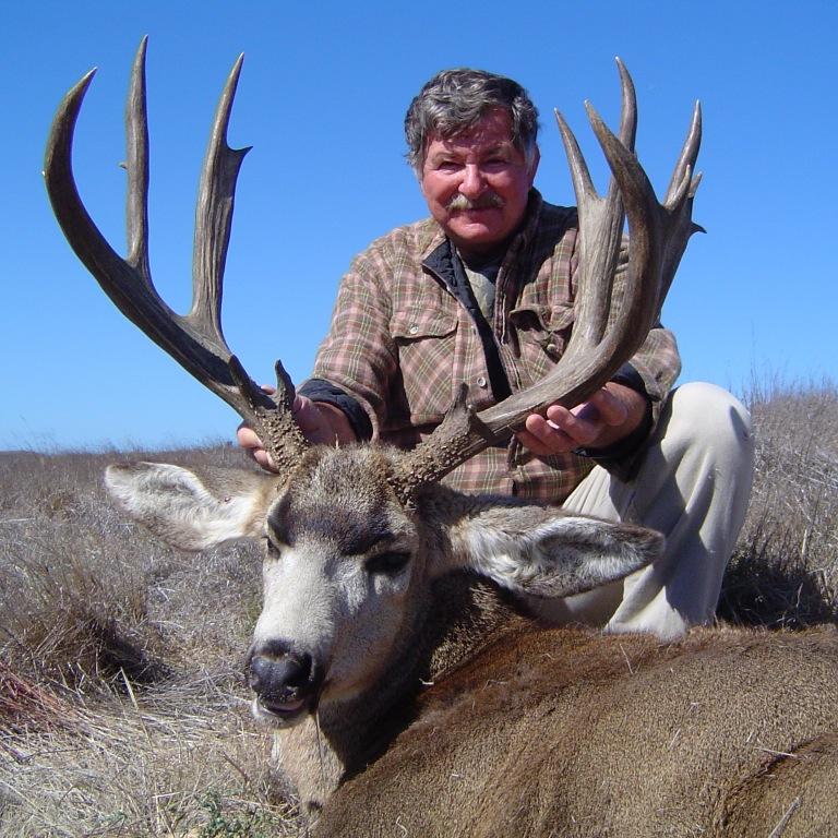 MultipleUse's profile picture. 