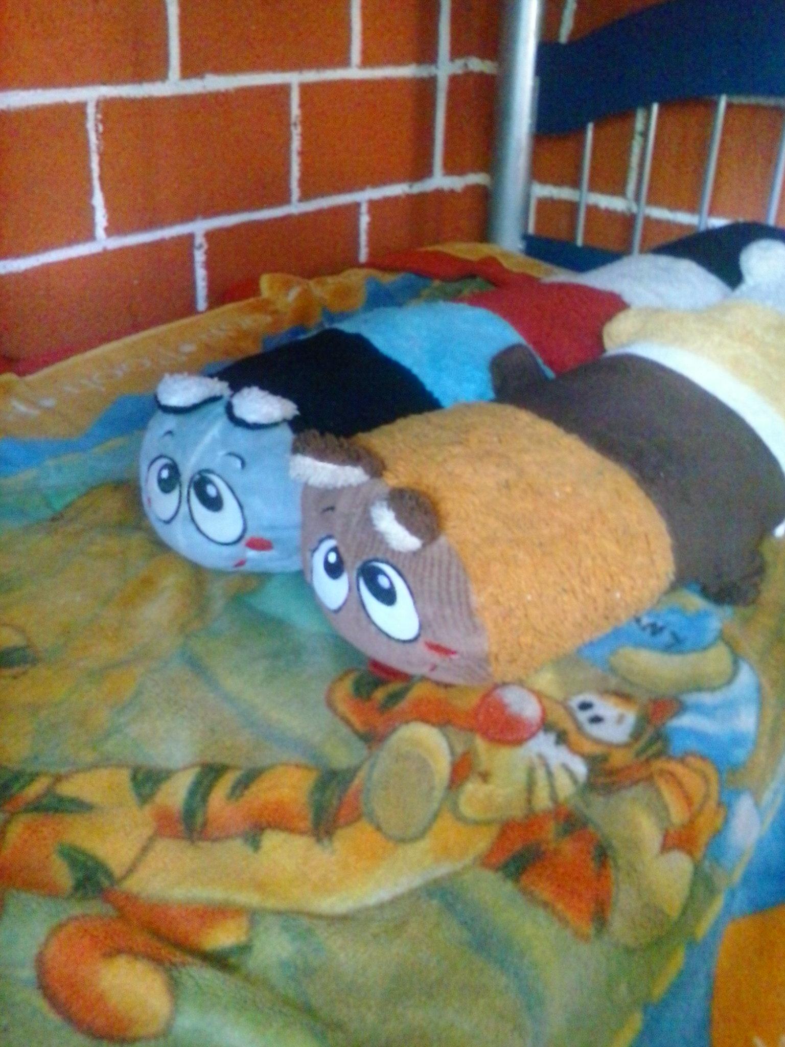 chiapaneco de corazón