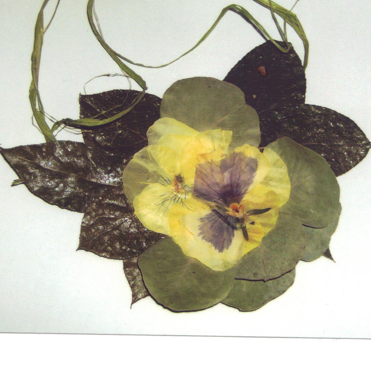 ninnac123's profile picture. 