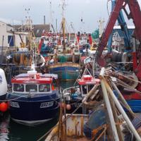 The Boat (@morrison_derek1) 's Twitter Profile