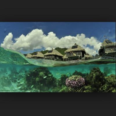 im saving for a trip to bora bora. please help me get there! website to donate is above!