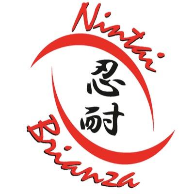 Nintaibrianza's profile picture. SSD NINTAIBRIANZA