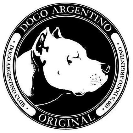 _Dogo_Argentino's profile picture. de Belgische dogo argentinoclub