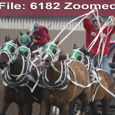 KrisMolle's profile picture. 