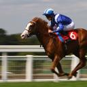 Terry Sands - @Terrysands123 - Twitter