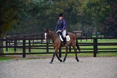 widgetwriter's profile picture. Hi! my name is Kt, and I am horse rider, not a pro, just love it! Really just have twitter to fill time and follow people!