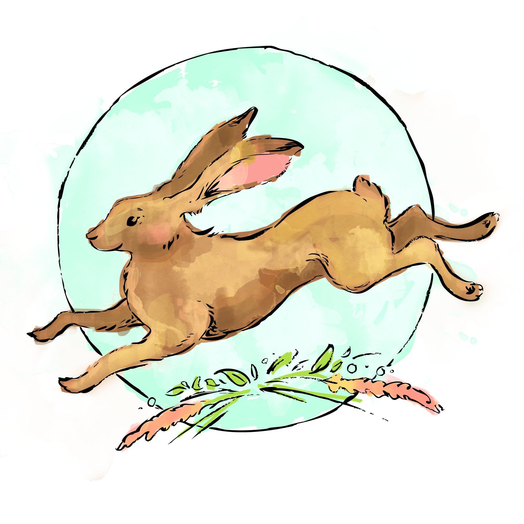 An illustrator with a love for colour, design, & animals