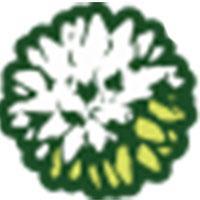 MitragynaS's profile picture. 