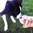 Eileen mcdade - @pemmdc - Twitter