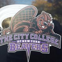 CCNY Dept. of Chemistry & Biochemistry (@ccnychem) 's Twitter Profile Photo CCNY Dept. of Chemistry & Biochemistry (@ccnychem) 's Twitter Profile Photo