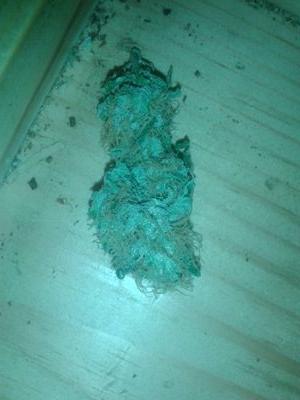 legalize it