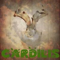 Cardilis_Films's profile picture. Old account follow @MrAlphaFilms